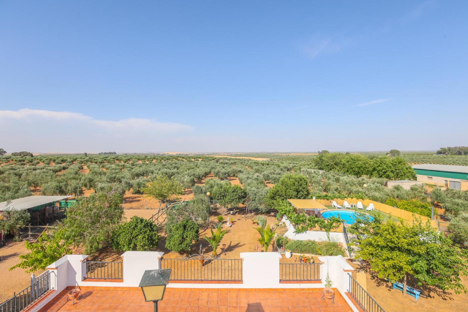 Casa Rural Los Miradores Marchena  Exteriör bild