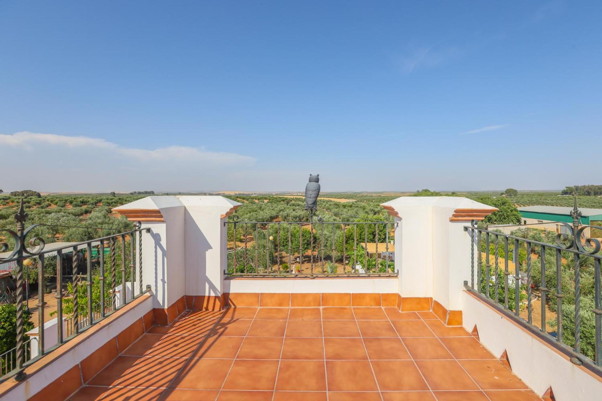 Casa Rural Los Miradores Marchena  Exteriör bild