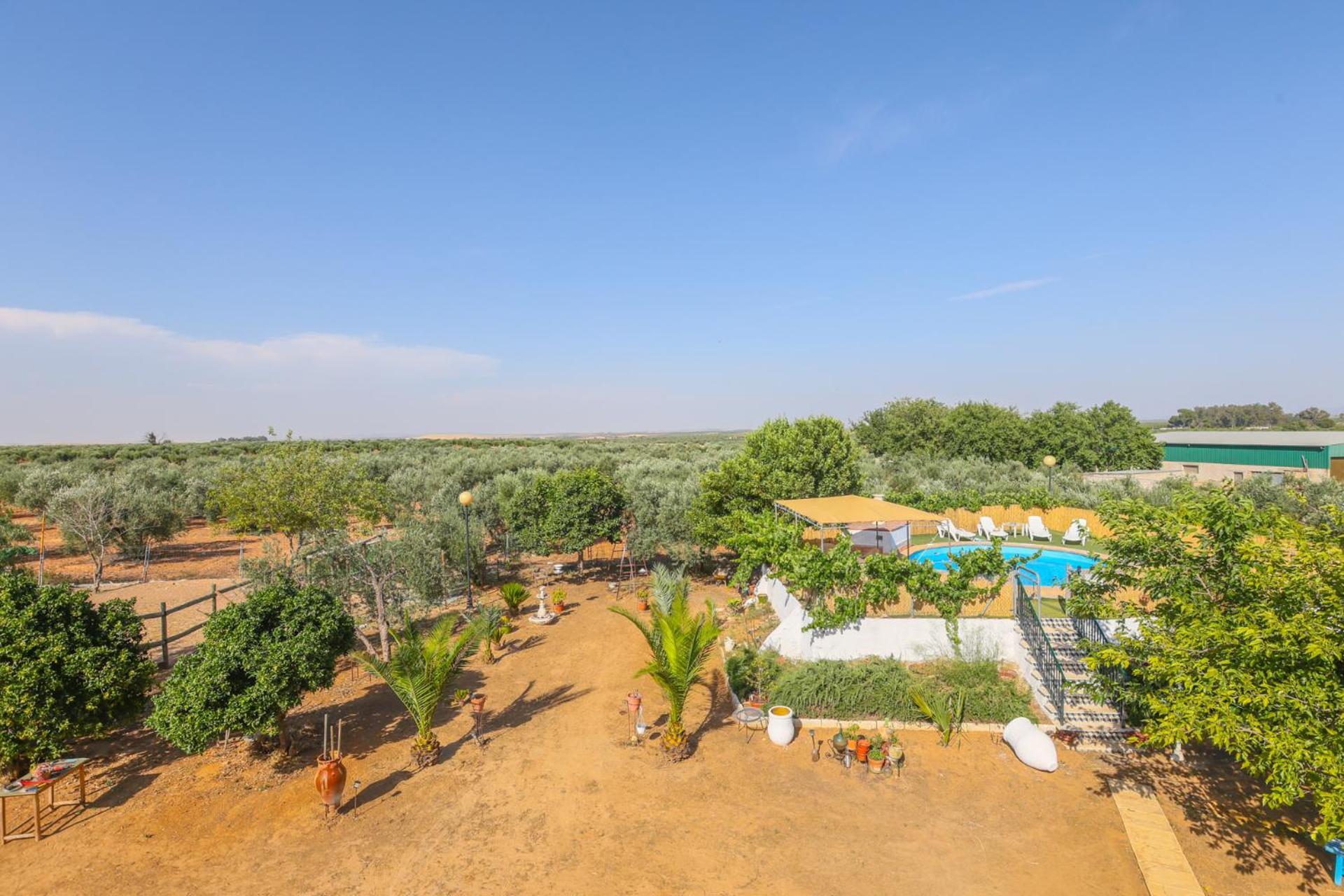 Casa Rural Los Miradores Marchena  Exteriör bild