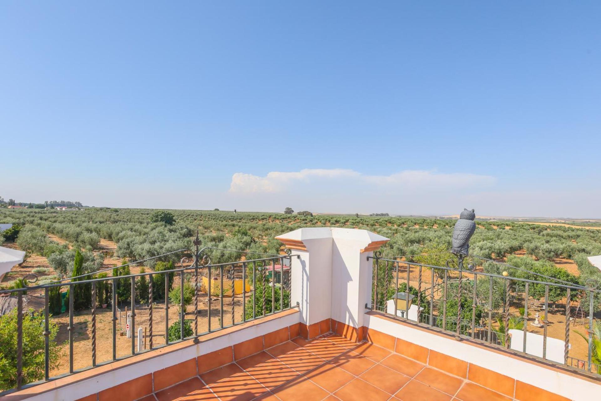 Casa Rural Los Miradores Marchena  Exteriör bild