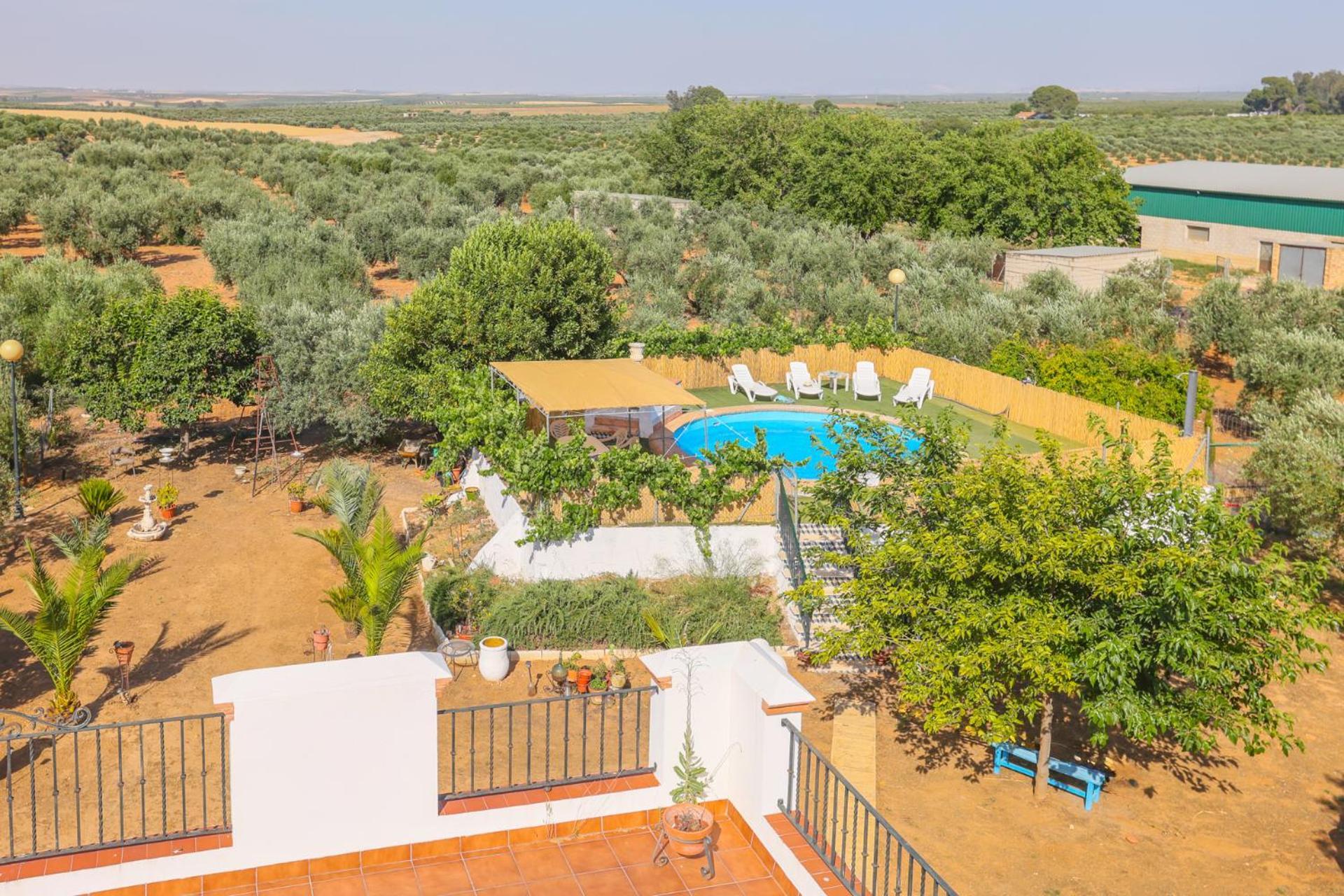 Casa Rural Los Miradores Marchena  Exteriör bild